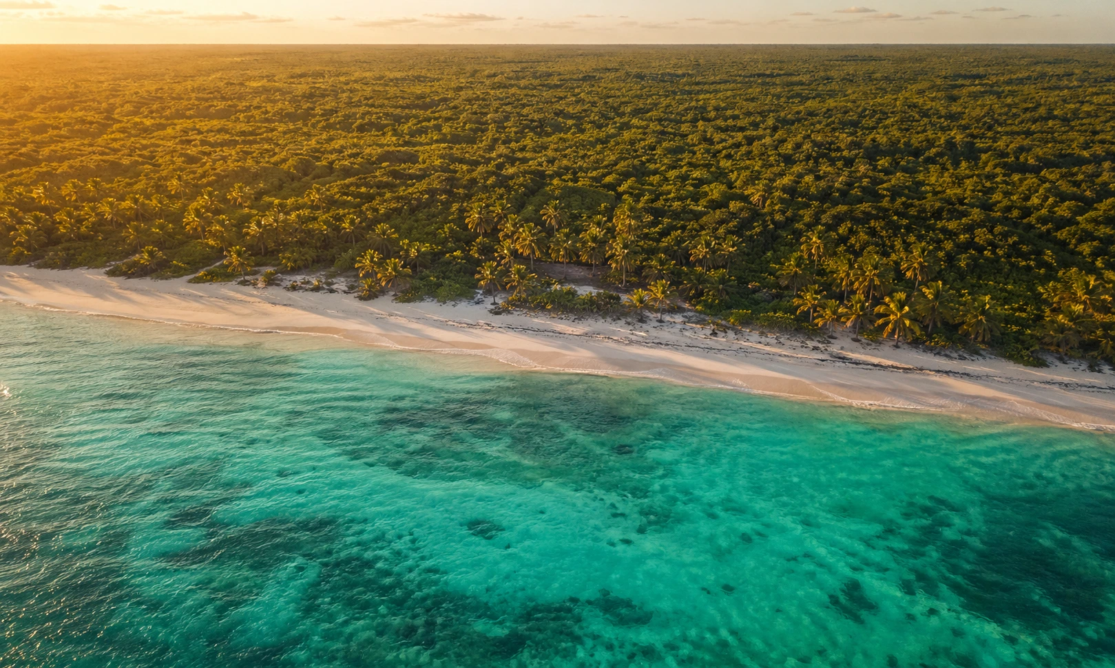 Aerial view of the Mexican Caribbean coastline at golden hour, showing turquoise water meeting white sand and dense jungle.